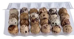 huevos codorniz 24 unidades