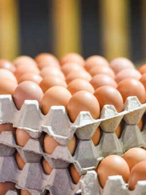 huevo marron  Empaque de 6 | 12 | 30 unidades